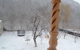 Casa Carbunaru