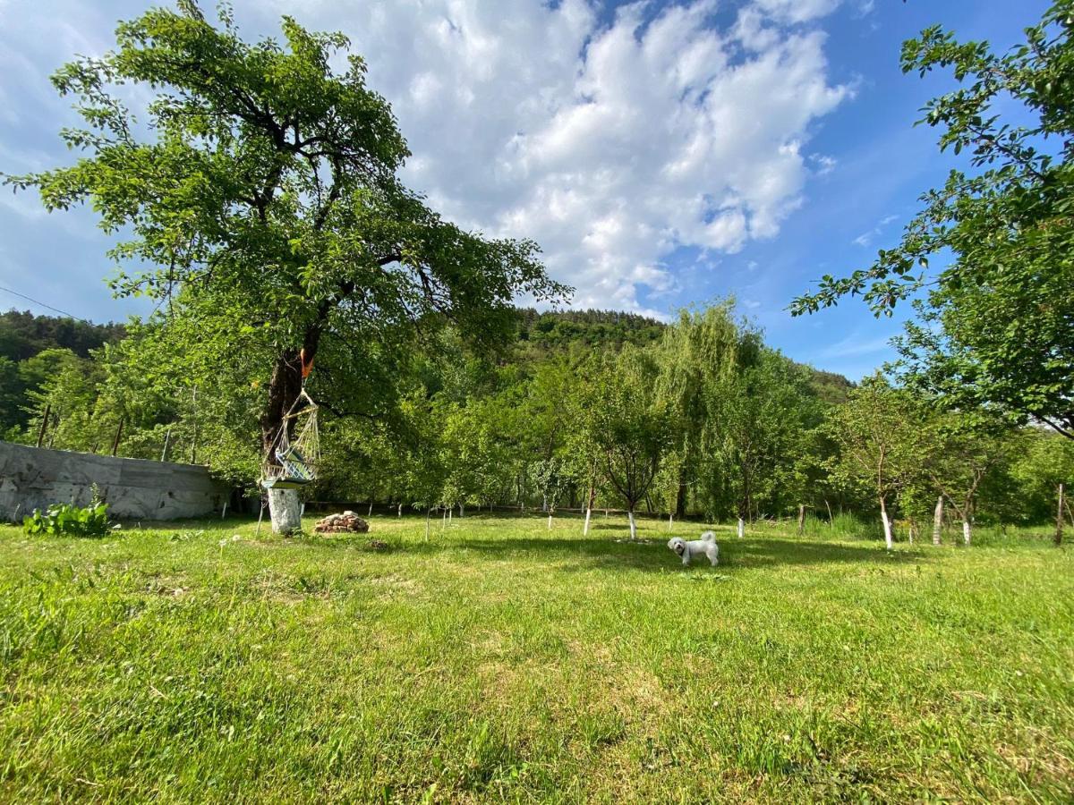 Casa Carbunaru Tîrgu Ocna Exterior foto