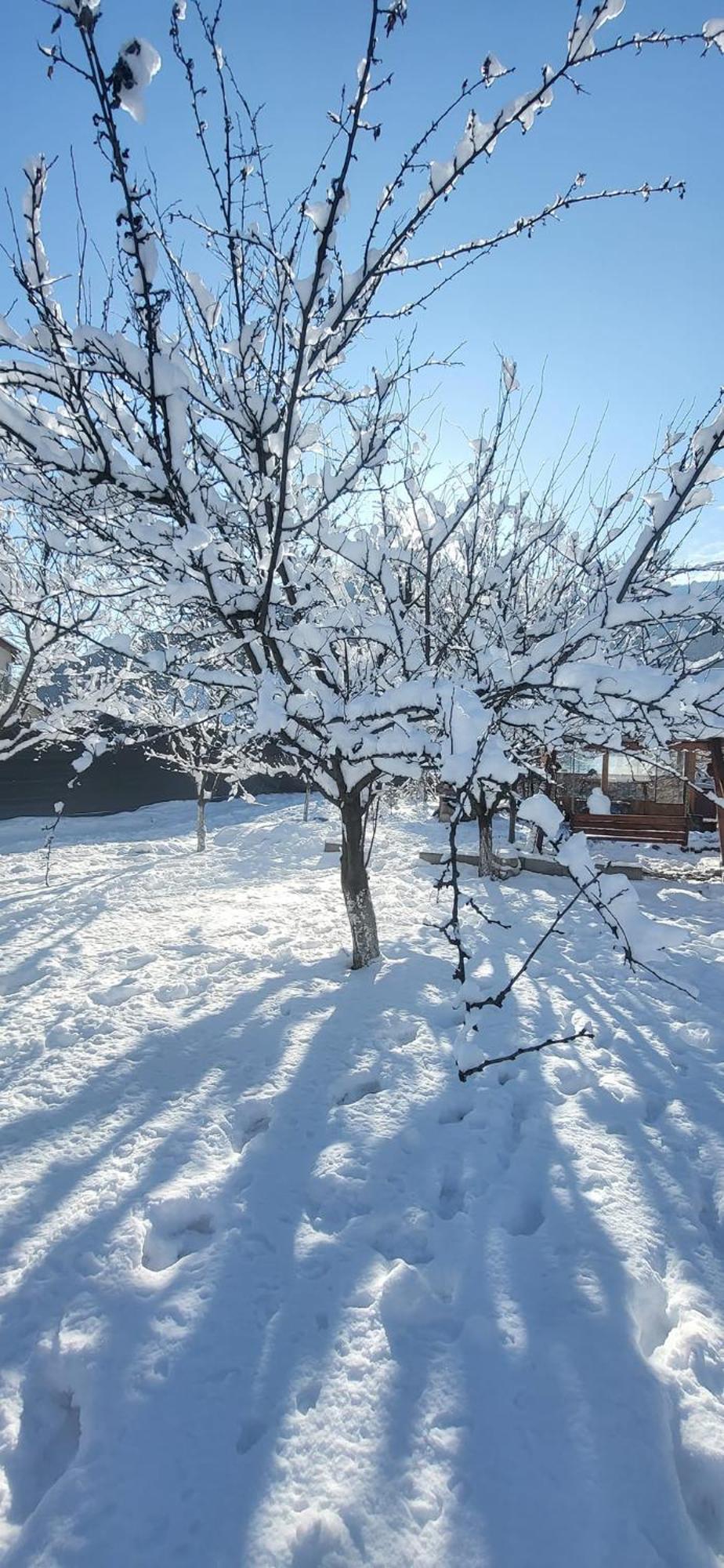 Casa Carbunaru Tîrgu Ocna Exterior foto