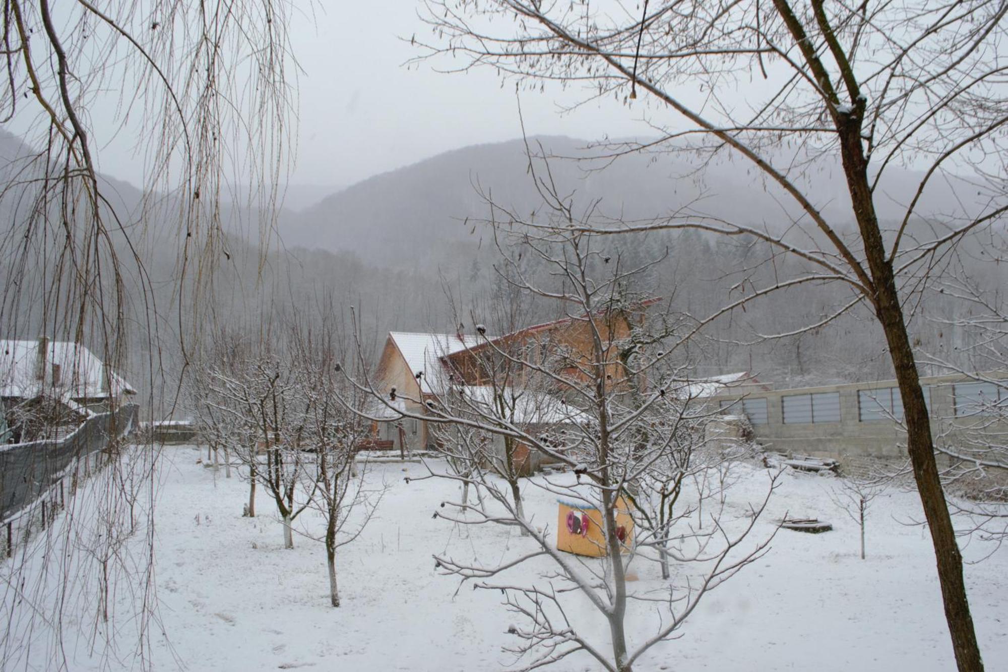 Casa Carbunaru Tîrgu Ocna Exterior foto
