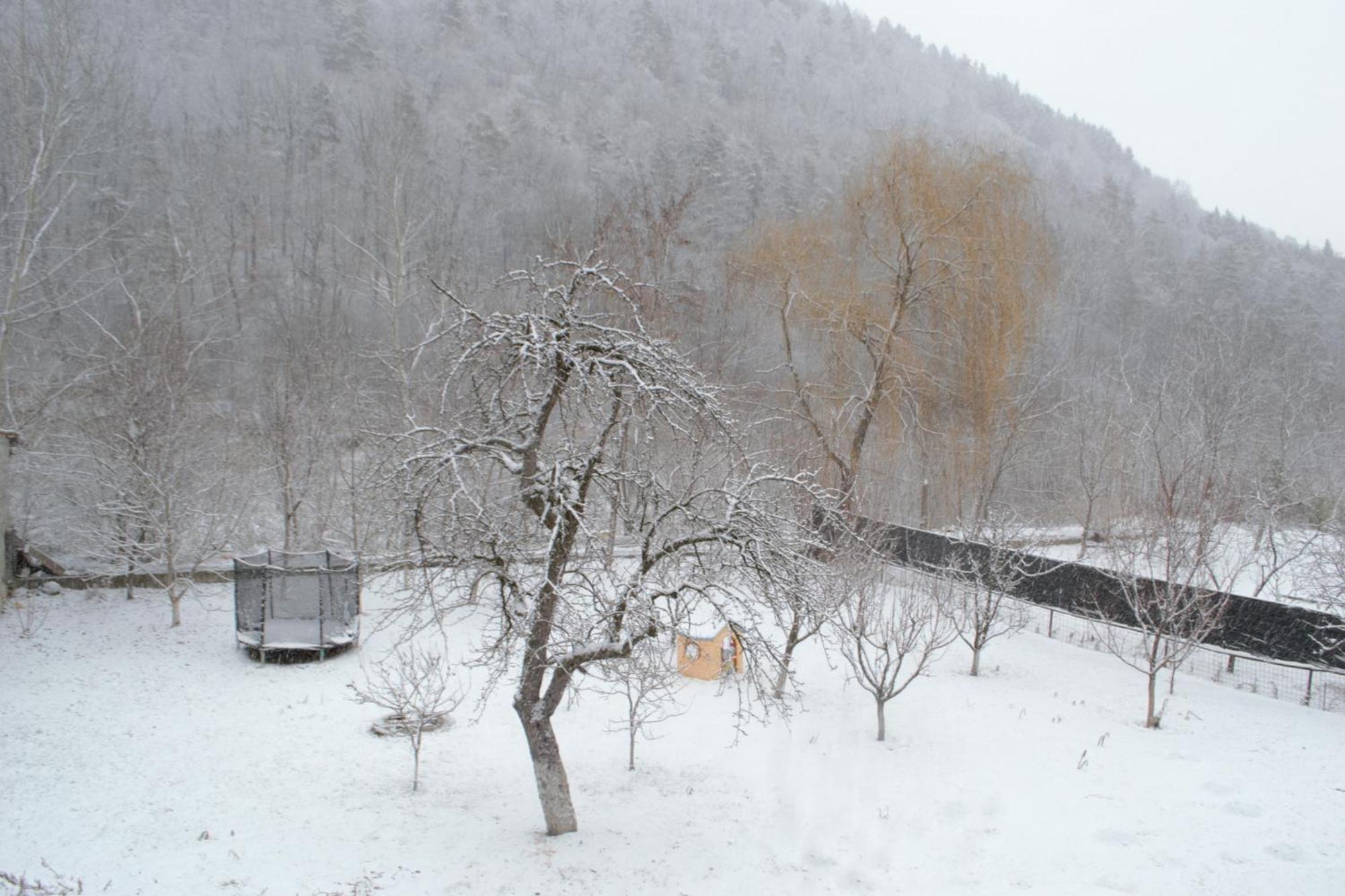 Casa Carbunaru Tîrgu Ocna Exterior foto